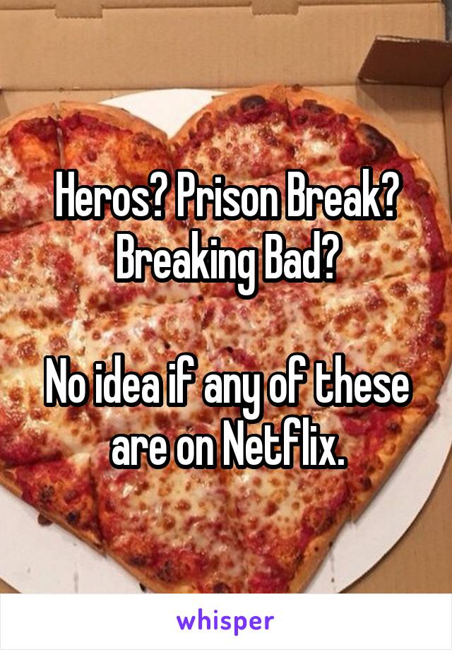 Heros? Prison Break?
Breaking Bad?

No idea if any of these are on Netflix.