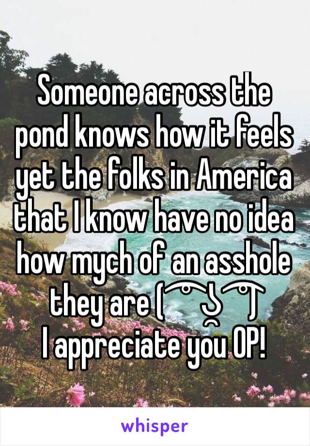 Someone across the pond knows how it feels yet the folks in America that I know have no idea how mych of an asshole they are ( ͡° ʖ̯ ͡°)
I appreciate you OP!