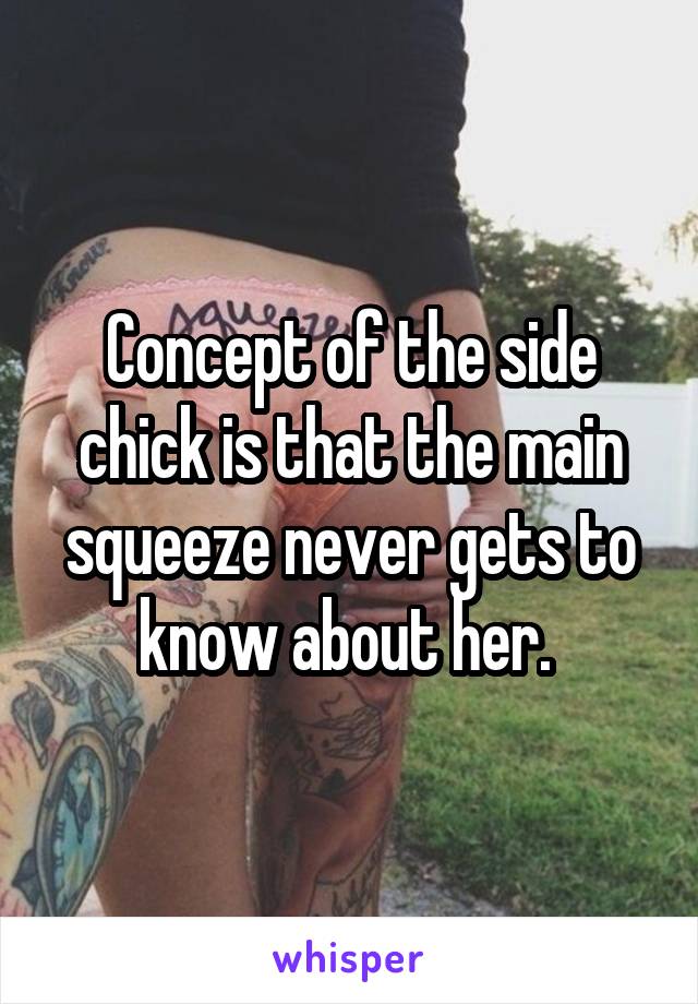 Concept of the side chick is that the main squeeze never gets to know about her. 
