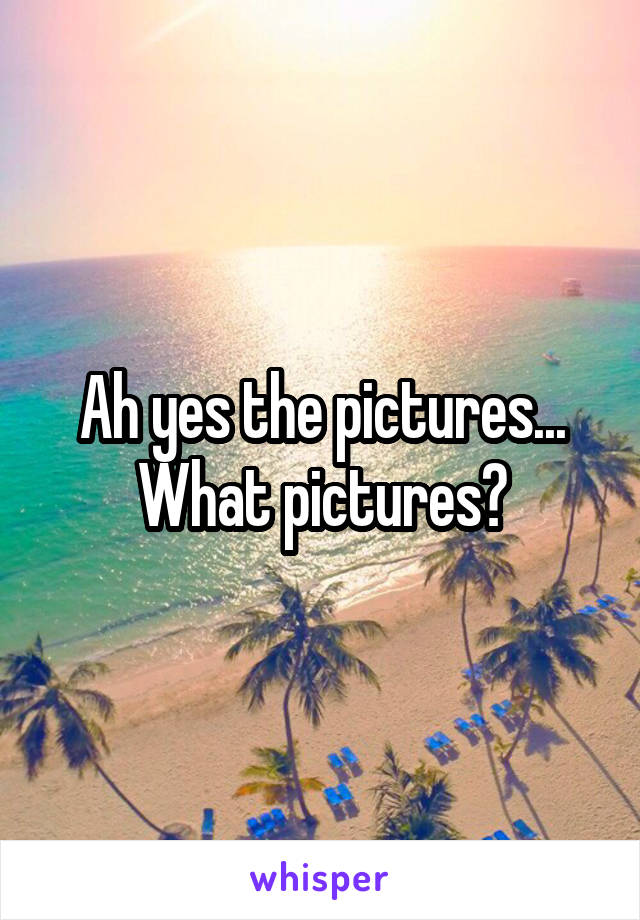 Ah yes the pictures... What pictures?