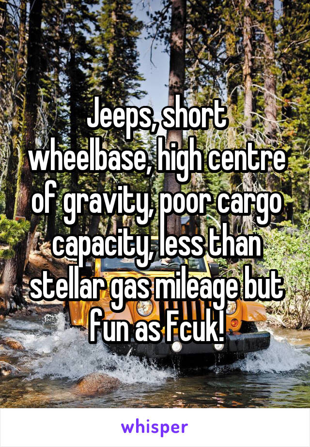 Jeeps, short wheelbase, high centre of gravity, poor cargo capacity, less than stellar gas mileage but fun as Fcuk!