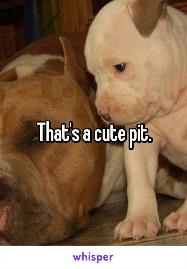 That's a cute pit.