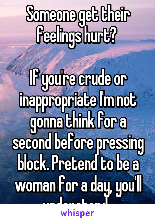 Someone get their feelings hurt? 

If you're crude or inappropriate I'm not gonna think for a second before pressing block. Pretend to be a woman for a day, you'll understand. 