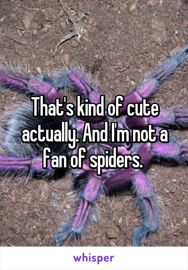 That's kind of cute actually. And I'm not a fan of spiders. 