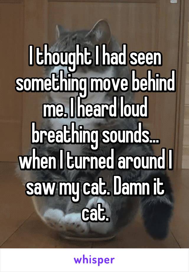 I thought I had seen something move behind me. I heard loud breathing sounds... when I turned around I saw my cat. Damn it cat.