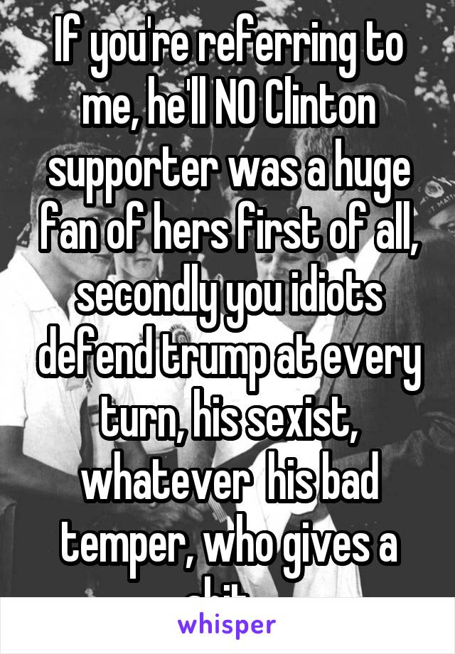 If you're referring to me, he'll NO Clinton supporter was a huge fan of hers first of all, secondly you idiots defend trump at every turn, his sexist, whatever  his bad temper, who gives a shit.. 