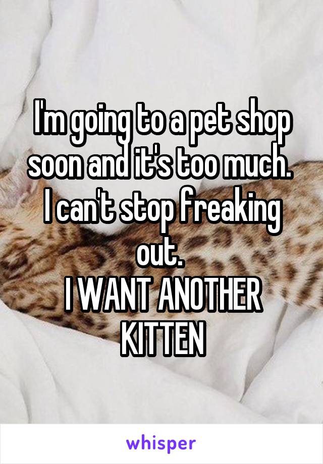 I'm going to a pet shop soon and it's too much. 
I can't stop freaking out. 
I WANT ANOTHER KITTEN