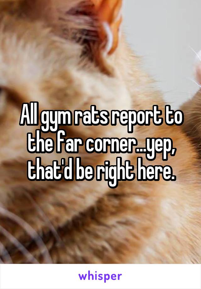 All gym rats report to the far corner...yep, that'd be right here.