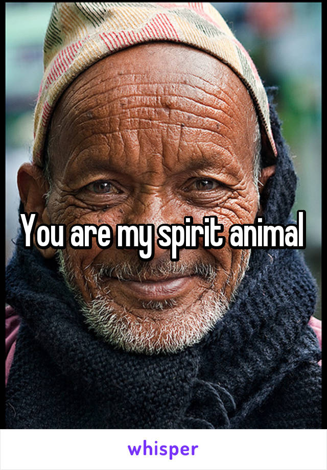 You are my spirit animal 