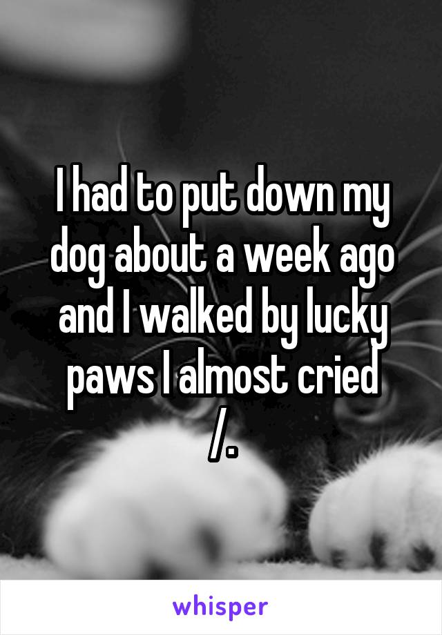 I had to put down my dog about a week ago and I walked by lucky paws I almost cried
/.\