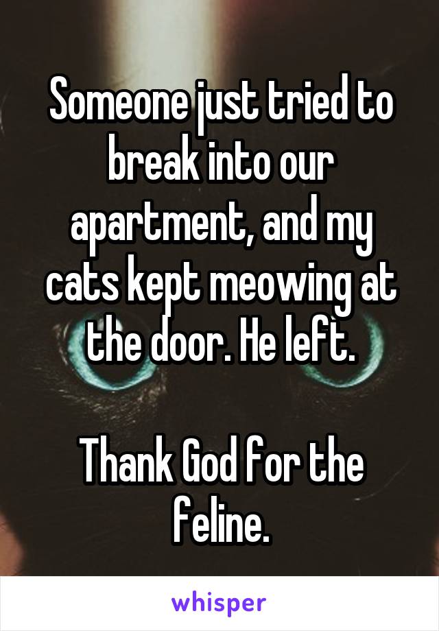 Someone just tried to break into our apartment, and my cats kept meowing at the door. He left.

Thank God for the feline.