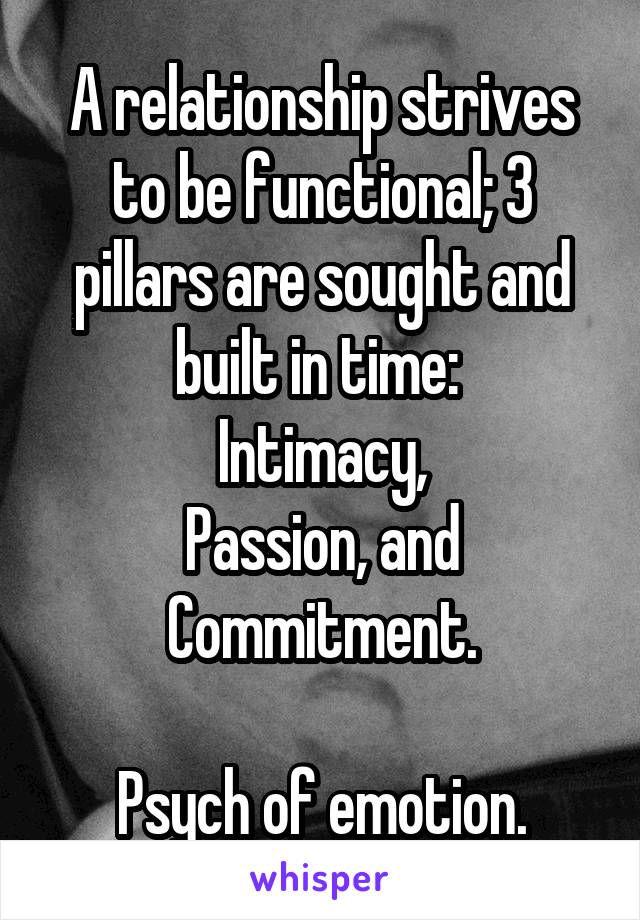 A relationship strives to be functional; 3 pillars are sought and built in time: 
Intimacy,
Passion, and
Commitment.

Psych of emotion.
