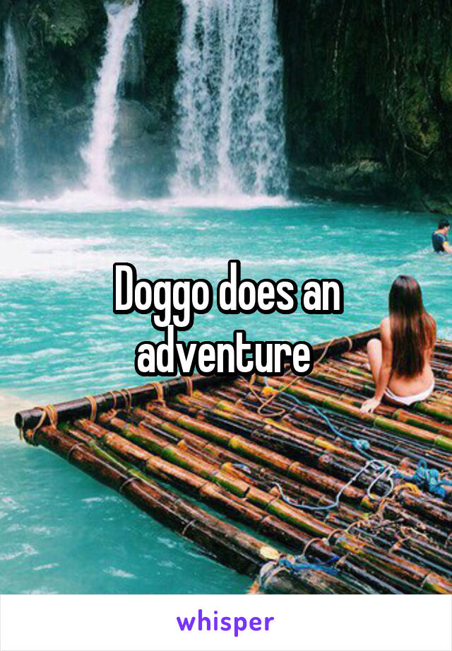 Doggo does an adventure 