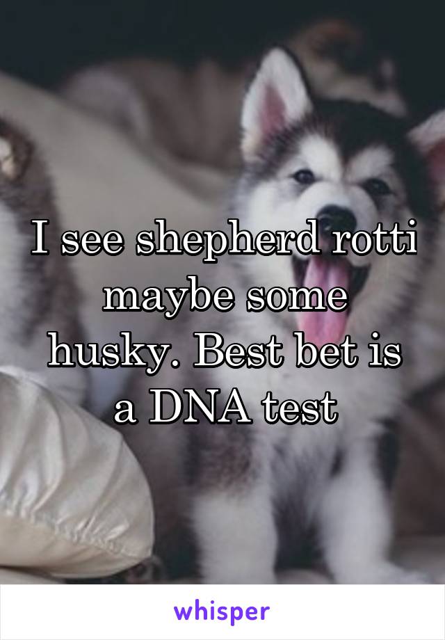 I see shepherd rotti maybe some husky. Best bet is a DNA test