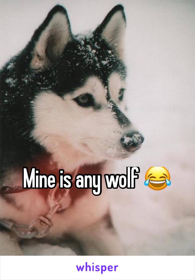 Mine is any wolf 😂