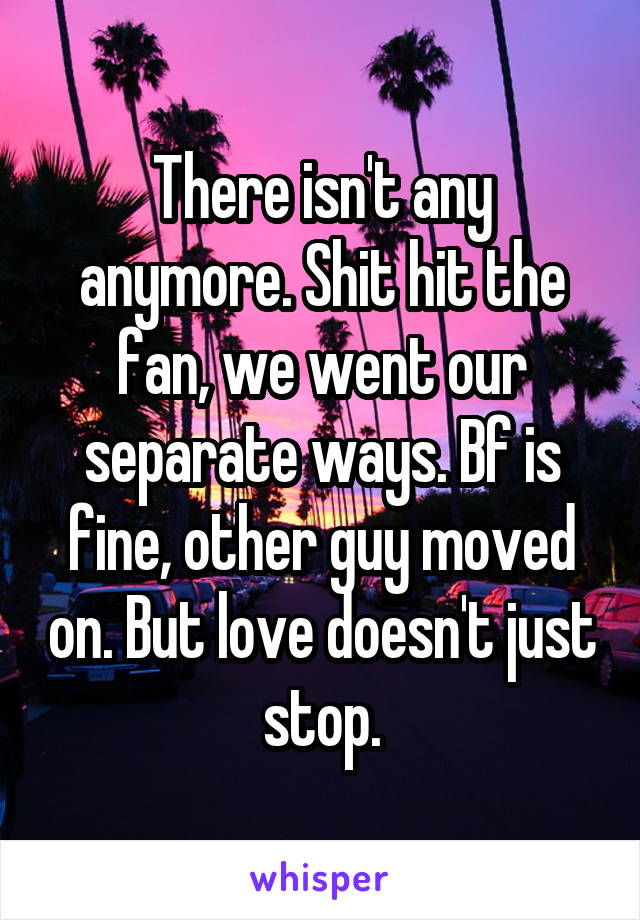 There isn't any anymore. Shit hit the fan, we went our separate ways. Bf is fine, other guy moved on. But love doesn't just stop.