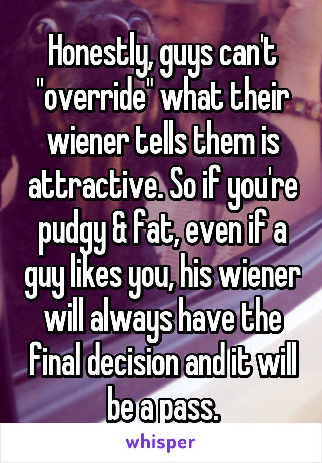 Honestly, guys can't "override" what their wiener tells them is attractive. So if you're pudgy & fat, even if a guy likes you, his wiener will always have the final decision and it will be a pass.