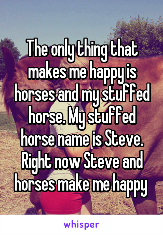 The only thing that makes me happy is horses and my stuffed horse. My stuffed horse name is Steve. Right now Steve and horses make me happy 