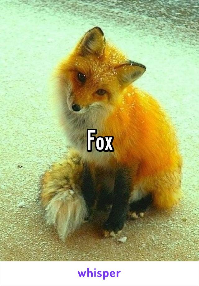 Fox