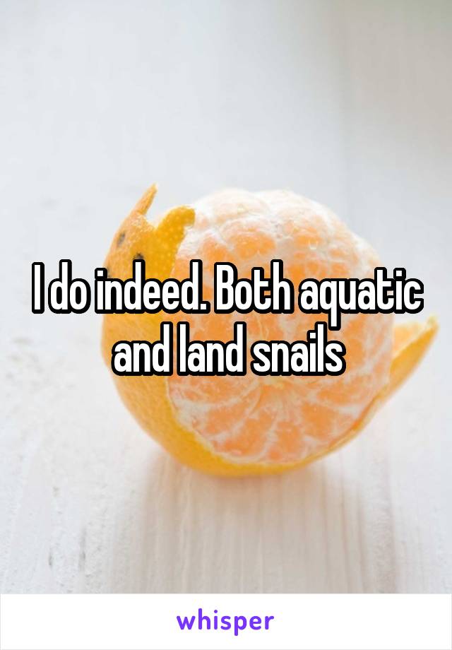 I do indeed. Both aquatic and land snails