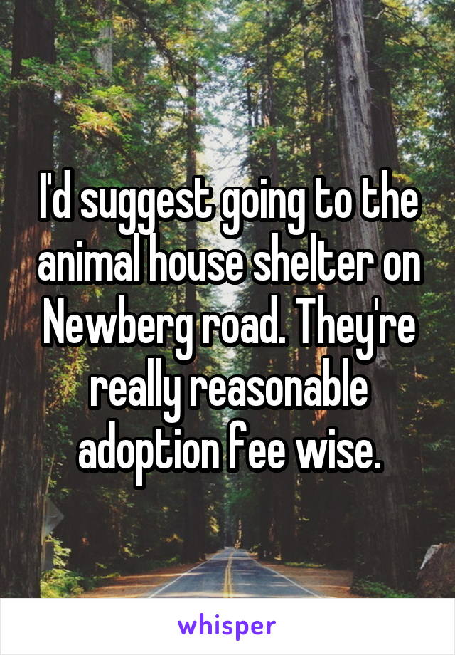 I'd suggest going to the animal house shelter on Newberg road. They're really reasonable adoption fee wise.