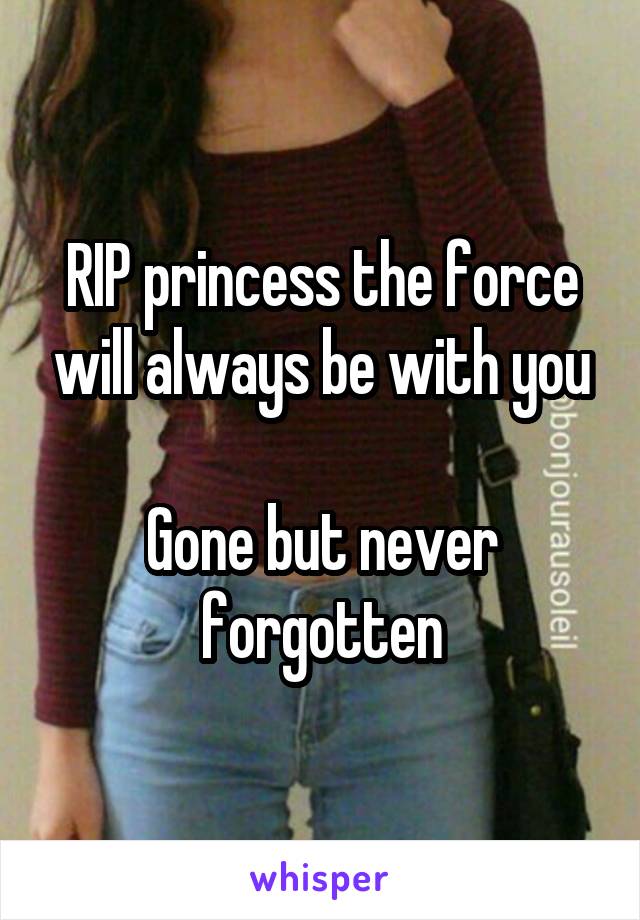 RIP princess the force will always be with you

Gone but never forgotten