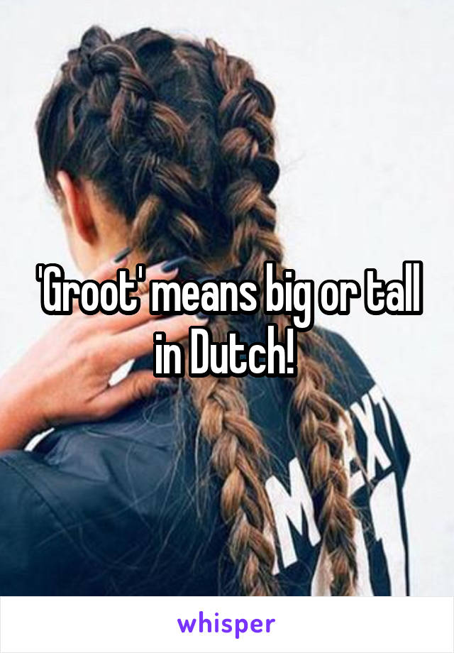 'Groot' means big or tall in Dutch! 