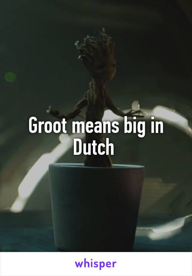 Groot means big in Dutch 