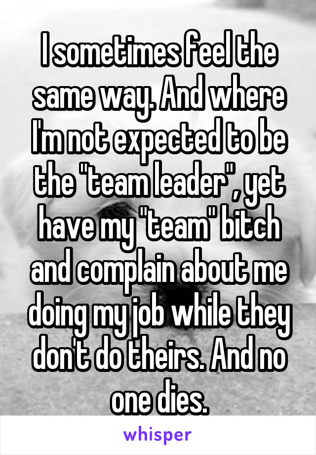 I sometimes feel the same way. And where I'm not expected to be the "team leader", yet have my "team" bitch and complain about me doing my job while they don't do theirs. And no one dies.