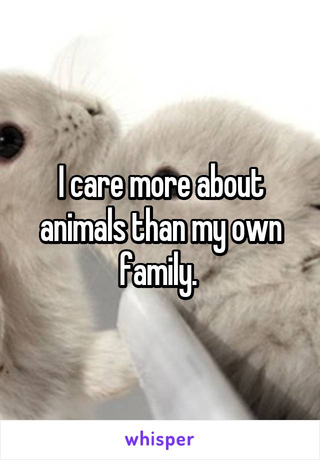 I care more about animals than my own family. 