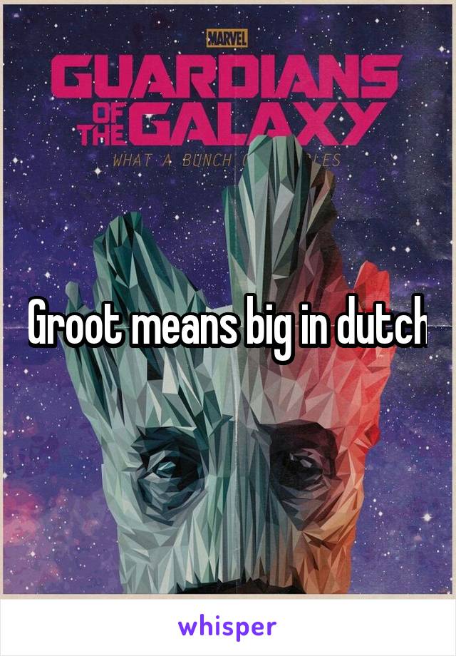 Groot means big in dutch