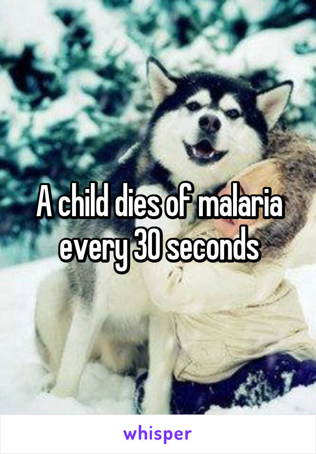 A child dies of malaria every 30 seconds