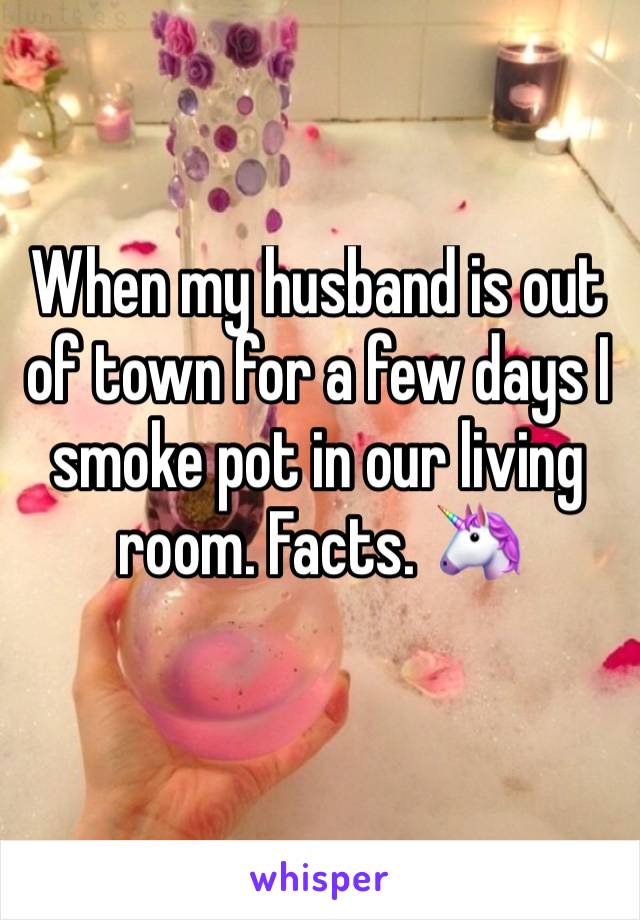 When my husband is out of town for a few days I smoke pot in our living room. Facts. 🦄
