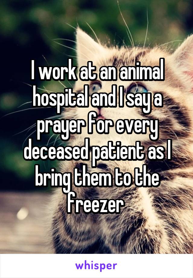 I work at an animal hospital and I say a prayer for every deceased patient as I bring them to the freezer 