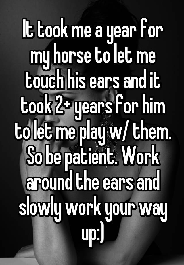 it-took-me-a-year-for-my-horse-to-let-me-touch-his-ears-and-it-took-2