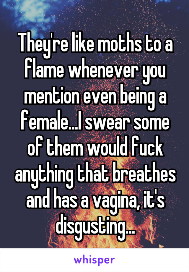 They're like moths to a flame whenever you mention even being a female...I swear some of them would fuck anything that breathes and has a vagina, it's disgusting...