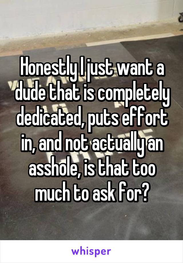 Honestly I just want a dude that is completely dedicated, puts effort in, and not actually an asshole, is that too much to ask for?