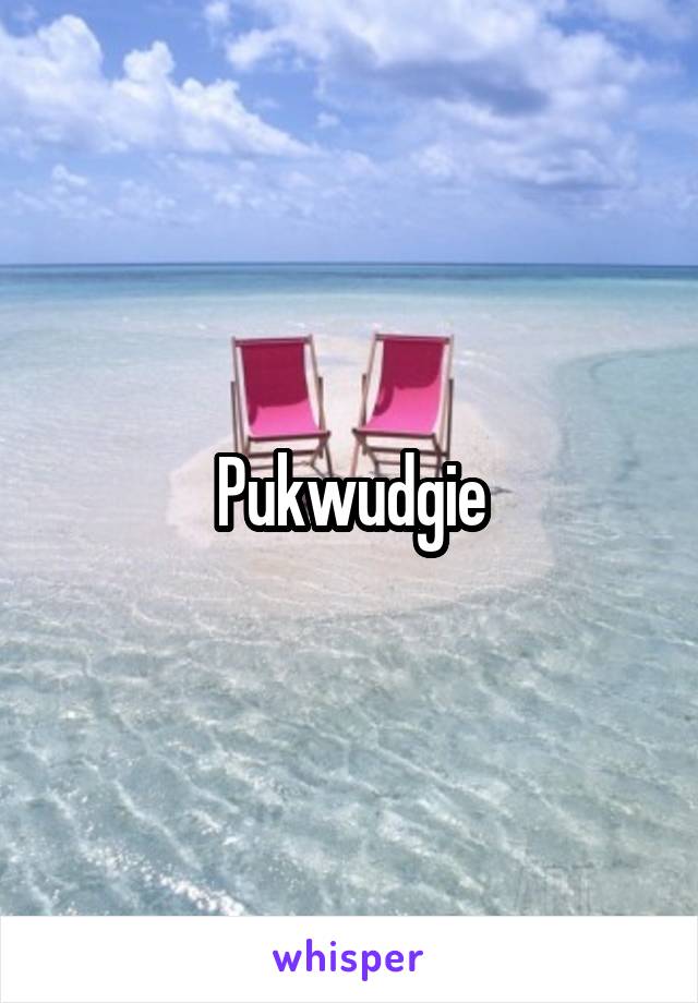 Pukwudgie