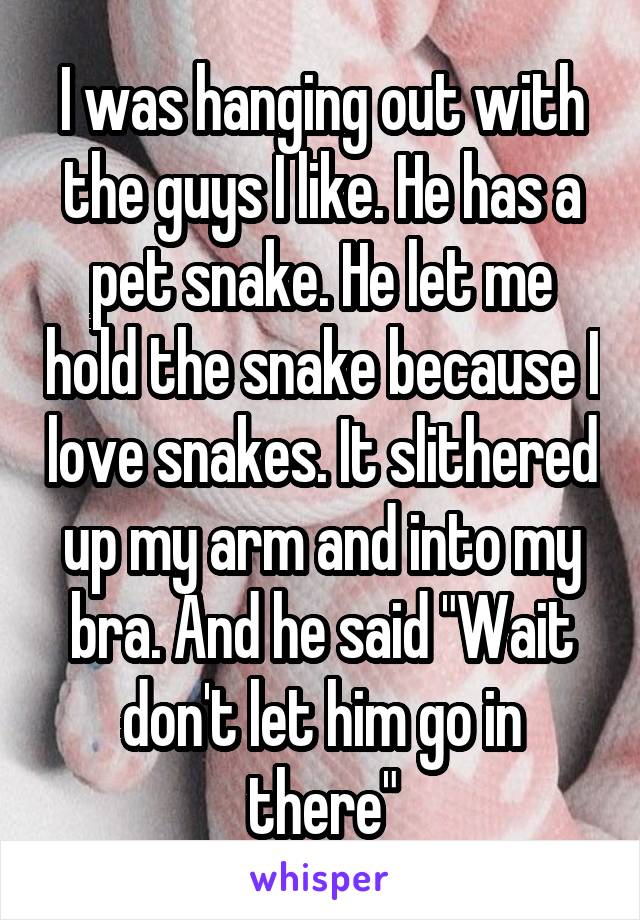 I was hanging out with the guys I like. He has a pet snake. He let me hold the snake because I love snakes. It slithered up my arm and into my bra. And he said "Wait don't let him go in there"