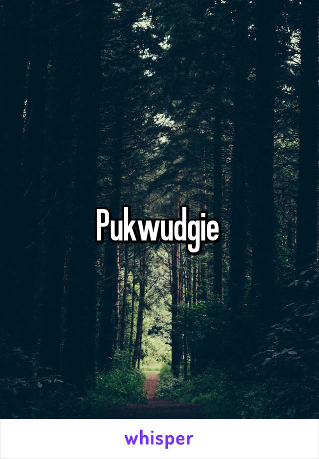 Pukwudgie 