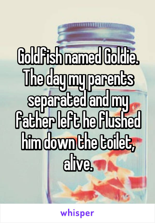 Goldfish named Goldie.
The day my parents separated and my father left he flushed him down the toilet, alive.