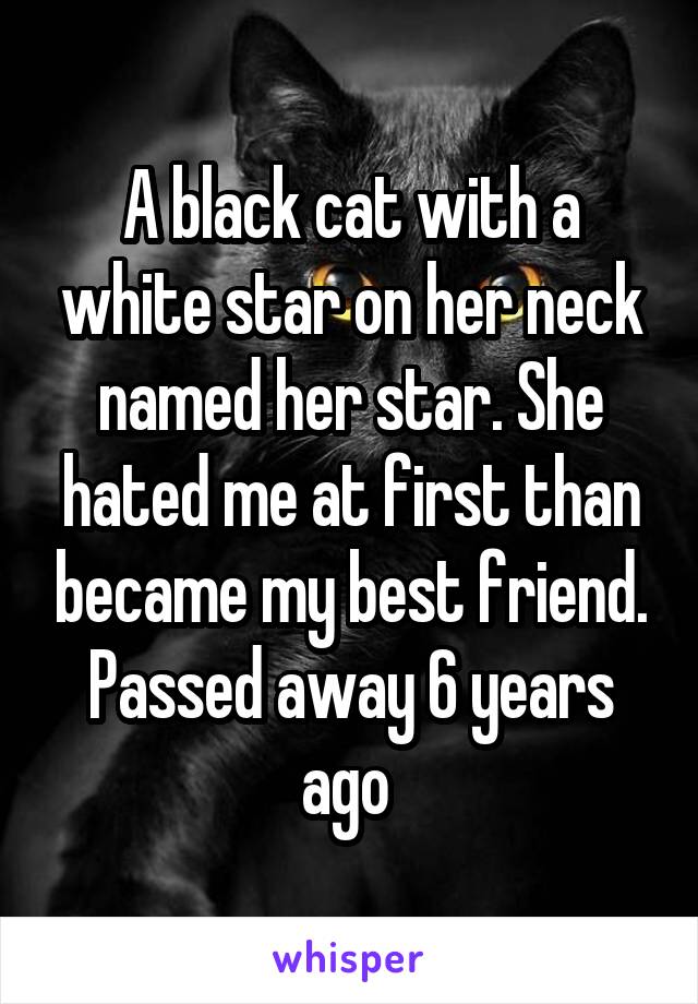 A black cat with a white star on her neck named her star. She hated me at first than became my best friend. Passed away 6 years ago 