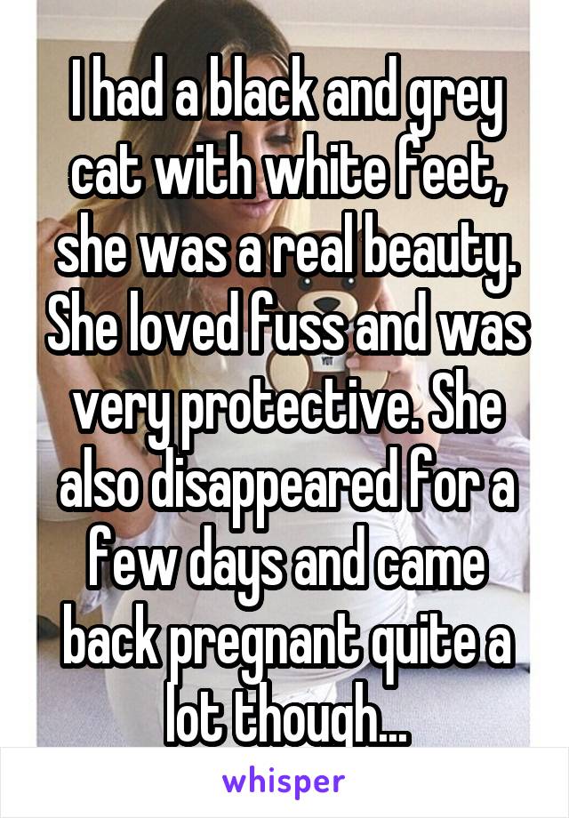 I had a black and grey cat with white feet, she was a real beauty. She loved fuss and was very protective. She also disappeared for a few days and came back pregnant quite a lot though...