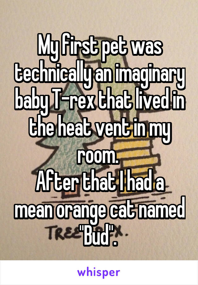 My first pet was technically an imaginary baby T-rex that lived in the heat vent in my room. 
After that I had a mean orange cat named "Bud". 