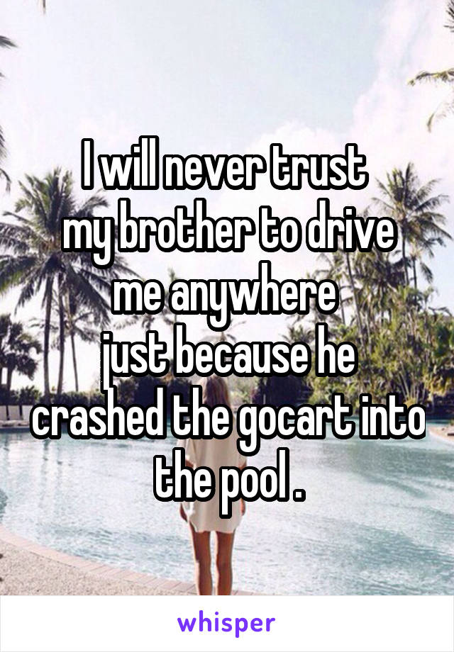 I will never trust 
my brother to drive me anywhere 
just because he crashed the gocart into the pool .
