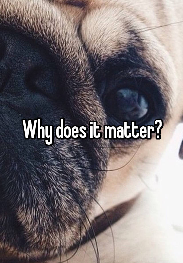 why-does-it-matter