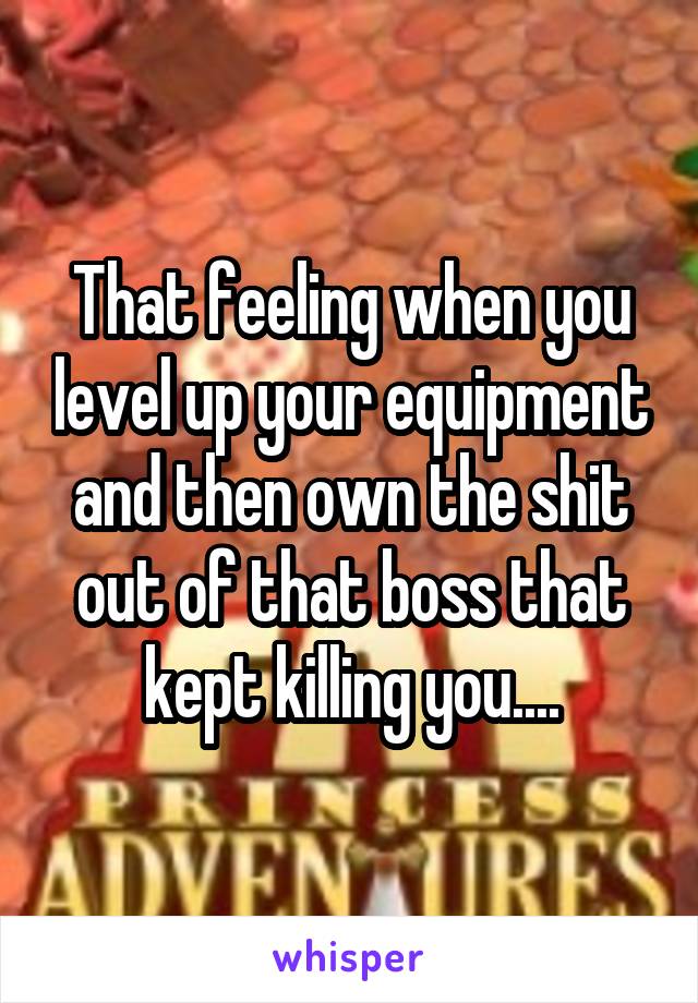 That feeling when you level up your equipment and then own the shit out of that boss that kept killing you....