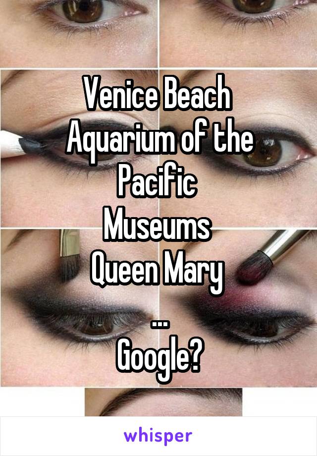 Venice Beach 
Aquarium of the Pacific 
Museums 
Queen Mary 
...
Google?