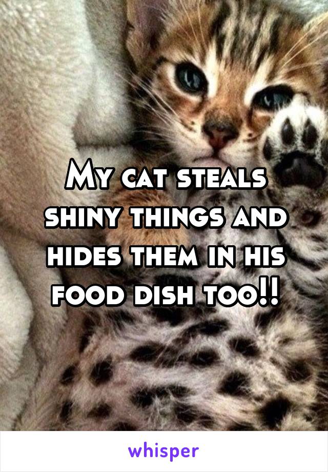 My cat steals shiny things and hides them in his food dish too!!