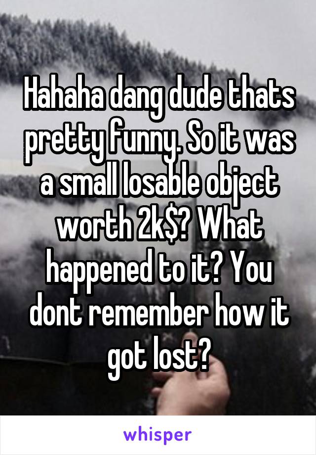 Hahaha dang dude thats pretty funny. So it was a small losable object worth 2k$? What happened to it? You dont remember how it got lost?